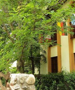 Aldea KLEINWALD CABAÑAS Y APART HOTEL