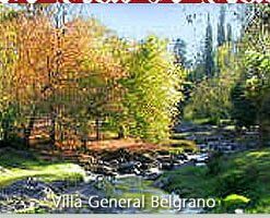 Raices Inmobiliaria