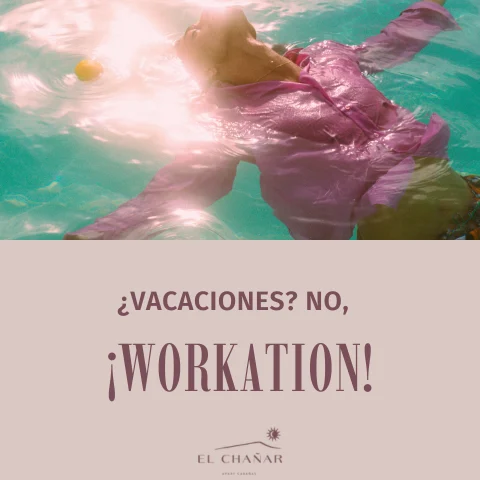¿VACACIONES? NO, ¡WORKATION! ⋆｡˚☀️ TRABAJO, ASADO Y PISCINA: 4 NOCHES AL PRECIO DE 3