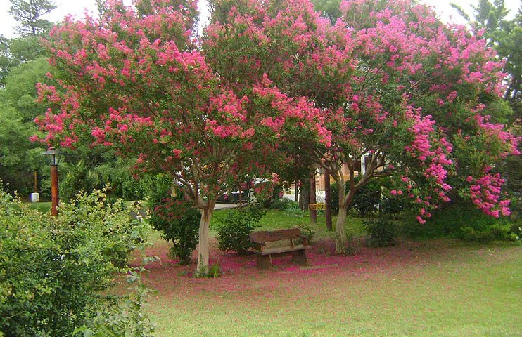 Cabañas Carpe Diem en Villa General Belgrano