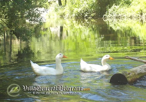 Actividades en La Villa