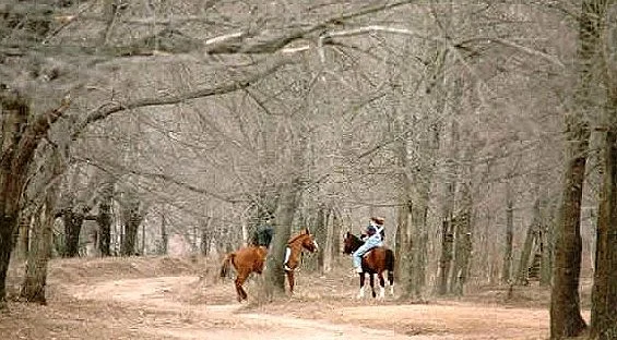 Cabalgatas en Calamuchita