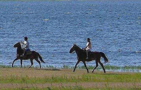 Cabalgatas en Calamuchita