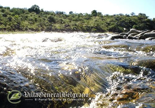 Pesca de Trucha