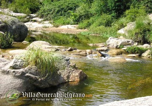 Pesca de Trucha
