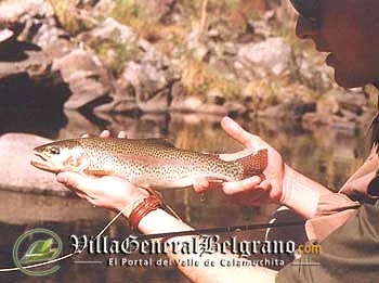 Pesca Deportiva
