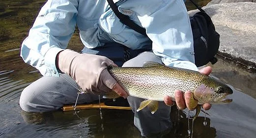 Pesca en el Lago los Molinos