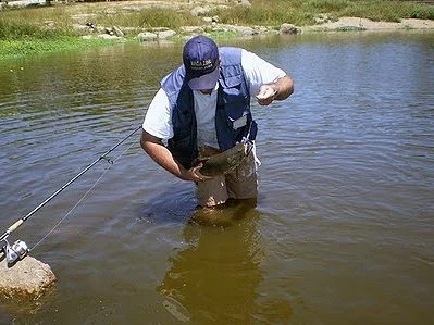 Pesca