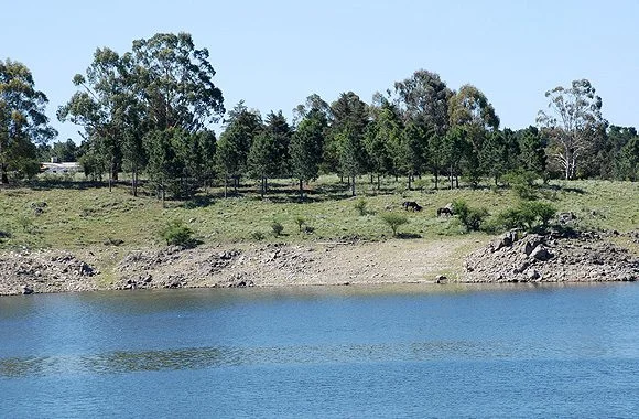 Región de los Grandes Lagos