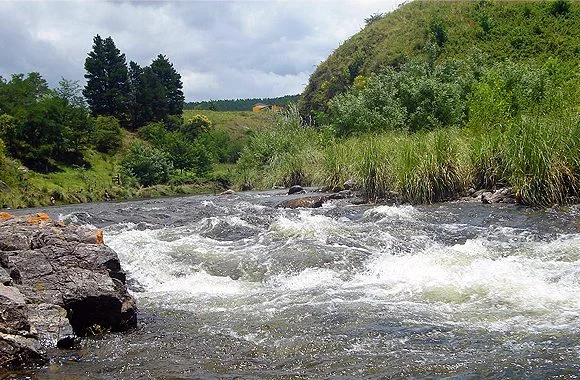 Excursión al valle del Río San Miguel