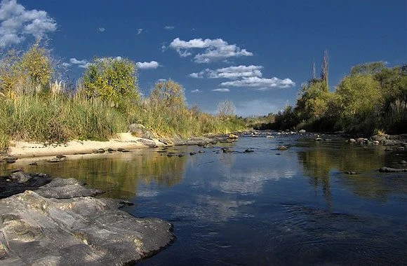 Paseos por los alrededores