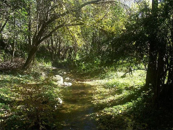 Pozo Verde – Cerro Mirador