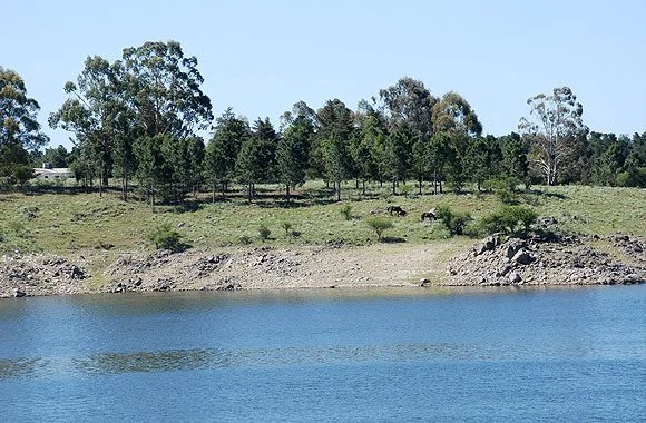 Lago Los Molinos