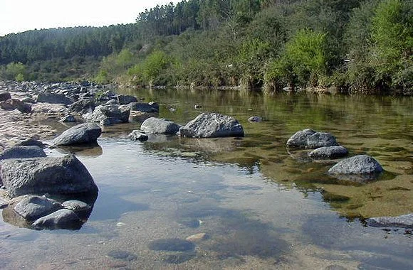 Los Reartes