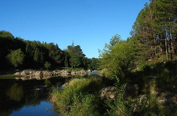 Los Reartes