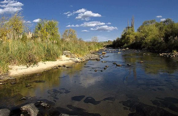 Los Reartes