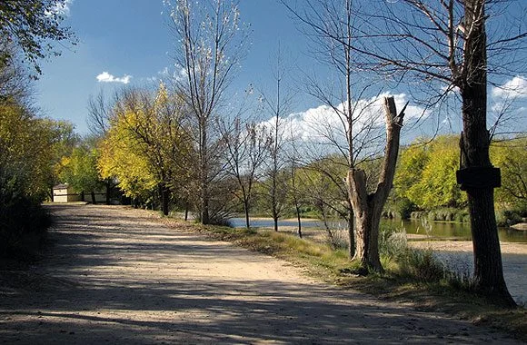 Los Reartes