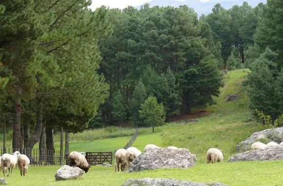 Yacanto de Calamuchita