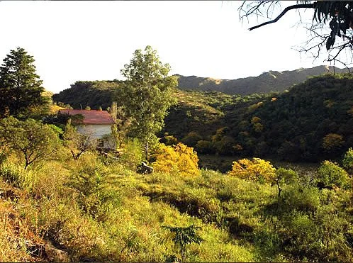 La Paisanita