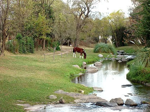 Paseo por Amboy