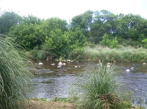 Villa los Aromos