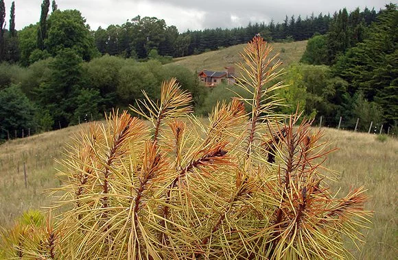 Yacanto y alrededores