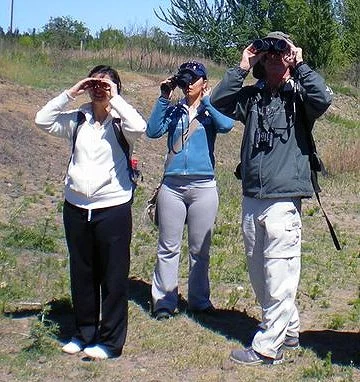 Avistaje de Aves