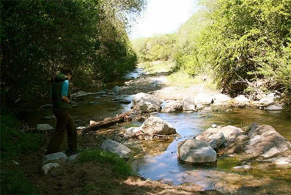 Paseo de los Arroyos