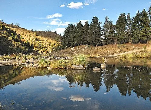 Pinar de los Ríos