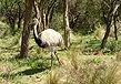 Reserva Faunística el Edén