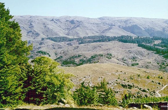Reserva Natural Pozo Verde