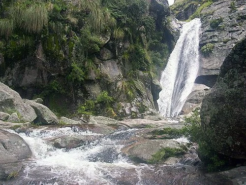 Vallecito de Abedul