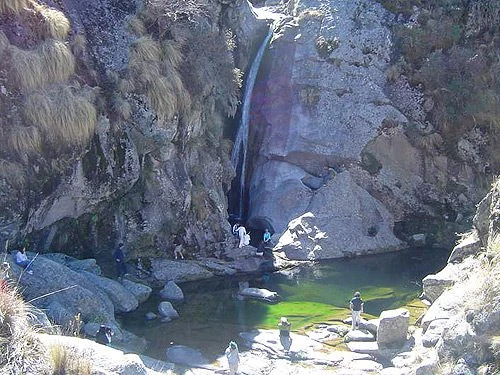 Vallecito de Abedul